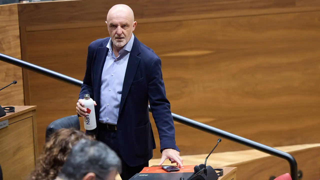 Pleno del Parlamento de Navarra. NAVARRA.COM