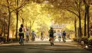 Un grupo de personas pasean con sus bicicletas. /CIUDADES POR LA BICICLETA