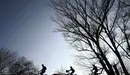 Tres ciclistas, animados por el buen tiempo, pasean por la capital navarra. EFE Jesús Diges.