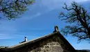 Una joven disfruta del buen tiempo en el Caballo Blanco de Pamplona. EFE