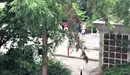 Varias personas escapan del centro comercial de Múnich donde se ha producido el tiroteo.