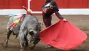 El diestro sevillano Manuel Jesús "El Cid" da un pase de muleta en el último día de la Feria de Santiago, con toros de la ganadería Adolfo Martín Andrés. EFE/ Pedro Puente Hoyos