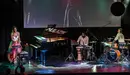 fotografía de Javier Fergo para Festival Flamenco on Fire 2016