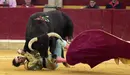 El diestro Juan José Padilla es cogido en la faena a su primer toro, de la ganadería Núñez del Cuvillo, durante la corrida de la Feria del Pilar de Zaragoza, celebrada en el coso de La Misericordia, en la que ha compartido cartel con Morante de la Puebla y Alejandro Talavante. EFE/Javier Cebollada