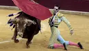 El diestro Juan José Padilla en la faena a su segundo toro, de la ganadería Núñez del Cuvillo, al que ha cortado una oreja, durante la corrida de la Feria del Pilar de Zaragoza, celebrada en el coso de La Misericordia, en la que ha compartido cartel con Morante de la Puebla y Alejandro Talavante. EFE/Javier Cebollada
