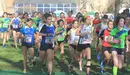 Campeonato navarro de cross corto en Estella. FNA.