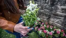 Tras la inauguración del proyecto Naturart, los alumnos participantes han sido obsequiados con diferentes plantas ofrecidas por el servicio de jardinería del Ayuntam - copia