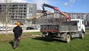 Gurelur ha denunciado la tala de árboles llevada a cabo por el Ayuntamiento de Pamplona en el barrio de la Milagrosa Fotos GURELUR 1