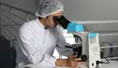 Imagen de archivo de un investigador. ARCHIVO