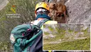 Rescate de una perra por parte de la Guardia Civil en un barranco de la Foz de Lumbier. CEDIDAS