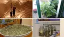 Estado en el que se encontraba la vivienda cercana a Tafalla totalmente tomada por una plantación de marihuana. POLICÍA NACIONAL