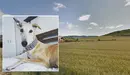 Tajonar y su sierra. ARCHIVO / INSTAGRAM