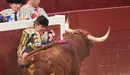 Primera corrida de toros de la ganadería Reta para Sánchez Vara e Imanol Sanchez en las fiestas de Estella 2022. PABLO LASAOSA