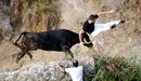 Último encierro de las fiestas del Pilón 2022 de Falces con vacas de Teodoro Vergara. PABLO LASAOSA