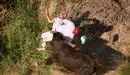 Octavo encierro del Pilón de las fiestas de Falces 2023 con vacas de Teodoro. PABLO LASAOSA