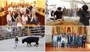 Corporación chiqui, fideuá, vacas y la romería a la Virgen del Yugo en las fiestas de la Juventud de Arguedas. AYUNTAMIENTO DE ARGUEDAS