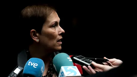 Parlamentarios de UPN, PP, PSN-PSOE, Geroa Bai, EH Bildu, Podemos, Izquierda Ezkerra durante un pleno en el Parlamento de Navarra