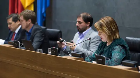Parlamentarios de UPN, PP, PSN-PSOE, Geroa Bai, EH Bildu, Podemos, Izquierda Ezkerra durante un pleno en el Parlamento de Navarra