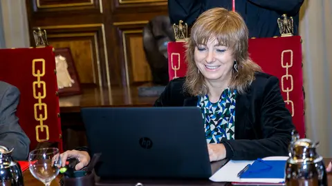 Sesión de Gobierno en el Salón de Sesiones del Palacio de Navarra. IÑIGO ALZUGARAY. -10