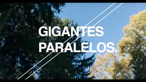 Gigantes paralelos