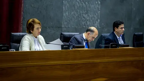 Pleno del Parlamento de Navarra. IÑIGO ALZUGARAY. -4