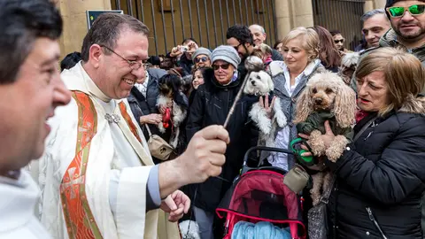 Bendición de animales en la parroquia de San Nicolás por la festividad de San Antón (28). IÑIGO ALZUGARAY