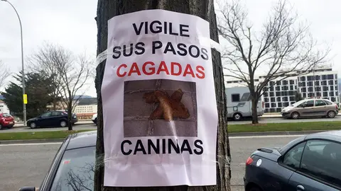 Carteles en Pamplona que alertan de cagadas de perros por las aceras. 5