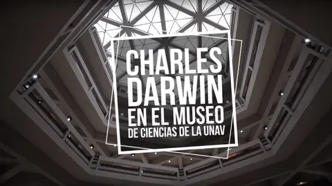 Charles Darwin en el Museo de la Universidad de Navarra.
