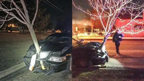 Una mujer conduce con un árbol incrustado en su coche. Fotos Roselle Police Department Facebook.