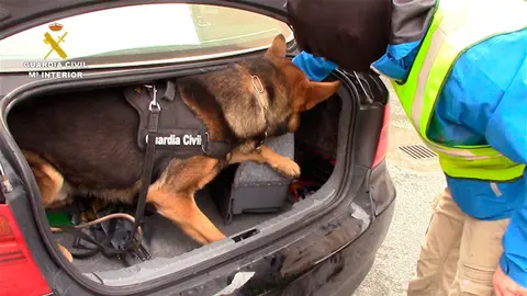 Actuación de la Guardia civil de de Navarra en la operación Jocker 7. GC