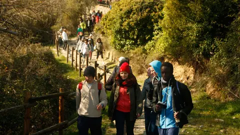 Imágenes de la segunda Javierada enviadas por nuestros lectores. Mª Ángeles Albarrán (56)