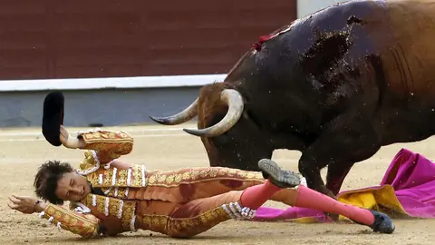GRA495. MADRID, 15/05/2016.- El torero peruano Roca Rey sufre un revolcón en su segundo toro durante la corrida de la Feria de San Isidro celebrada hoy día del patrón en la plaza de Las Ventas, en la que ha compartido cartel con los extremeños Posada de Maravillas, que confirma alternativa, y Alejandro Talavante, con toros de Juan Pedro Domecq. EFE/MARISCAL