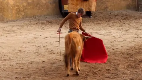 Manuel escribano lidiando vaquillas en una capea de Toledo.