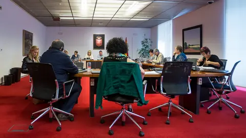 La Consejera de Relaciones Ciudadanas e Institucionales, Ana Ollo, explica el protocolo de colaboración con la Comunidad Autónoma Vasca (23). IÑIGO ALZUGARAY
