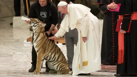 Audience to the &#34;World of Travelling Shows&#34; at Paul VI Hall at the Vatican. Papa Francisco.