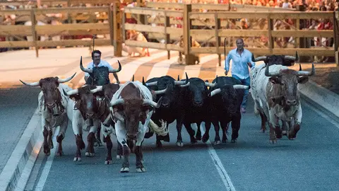 Encierrillo con los toros de Victoriano celebrado en la noche del 11 de julio. PABLO LASAOSA (7)