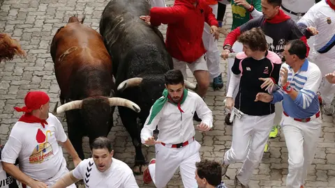 Toros de la ganadería gaditana de Nuñez del Cubillo hacen su entrada al callejón de la Plaza de Toros de Pamplona durante el séptimo encierro de los Sanfermines 2016. EFE. Josu Santesteban (1)