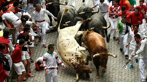 Último encierro de las fiestas de San Fermín protagonizado por Miura en la bajada al callejón. PABLO LASAOSA 09