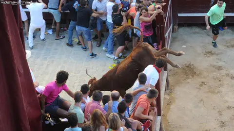 Secuencia de imágenes del momento en el que la vaca salta en Puente la Reina durante sus fiestas, dejando traslados y heridos. MIGUEL OSÉS  (10)