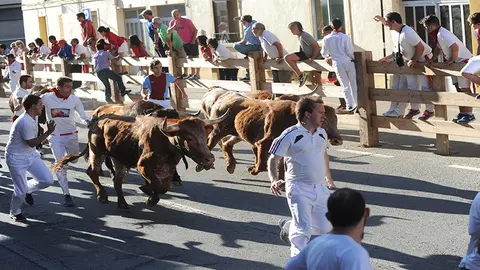 Tercer encierro de Lodosa. MIGUEL OSÉS