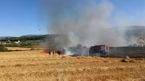 Labores de extinción del incendio registrado en un campo de cultivo entre Barañáin y Cizur (6). (Cedida).