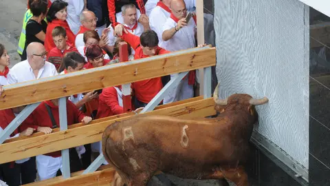 Uno de los novillos embiste contra un comercio en la Plaza de Santiago de Estella. MIGUEL OSÉS.