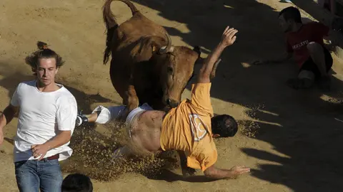 GRA031 FALCES (NAVARRA) 14-08-16.- Los encierros del Pilón 2016, declarados como Fiesta de Interés Turístico de Navarra, que se celebran durante las fiestas patronales de Falces, se han estrenado hoy con una peligrosa carrera en la que una vaca se ha dado la vuelta y siete personas han tenido que ser atendidas por los servicios sanitarios.Se trata de una singular carrera de 800 metros que discurre por un estrecho y escarpado recorrido cuesta abajo, con el muro de la montaña a un lado y el barranco, al otro.En la foto, un mozo es volteado por una vaca en el primer encierro. EFE/Villar López