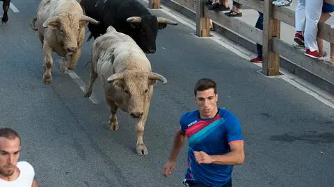 Primer encierro de las fiestas de Tafalla. PABLO LASAOSA 05