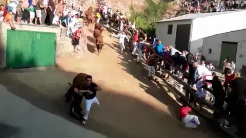 La vaca arrolla a dos jóvenes durante el sexto pilón de Falces. 