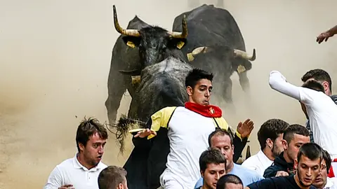 Séptimo encierro del Pilón. PABLO LASAOSA 02