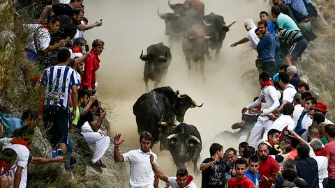 Séptimo encierro del Pilón. PABLO LASAOSA