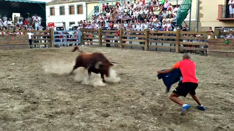 Recorte de toro en las fiestas de Mélida.