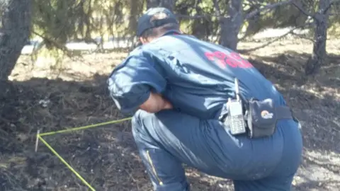 Un agente de Policía Foral investiga el punto de origen del incendio forestal de Tafalla