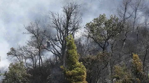 Un helicóptero lanza agua sobre el monte Miravalles, en el termino municipal de Villaba, donde se ha declarado esta tarde un incendio en una zona arbolada en las inmediaciones de la Trinidad de Arre. EFE/Jesús Diges